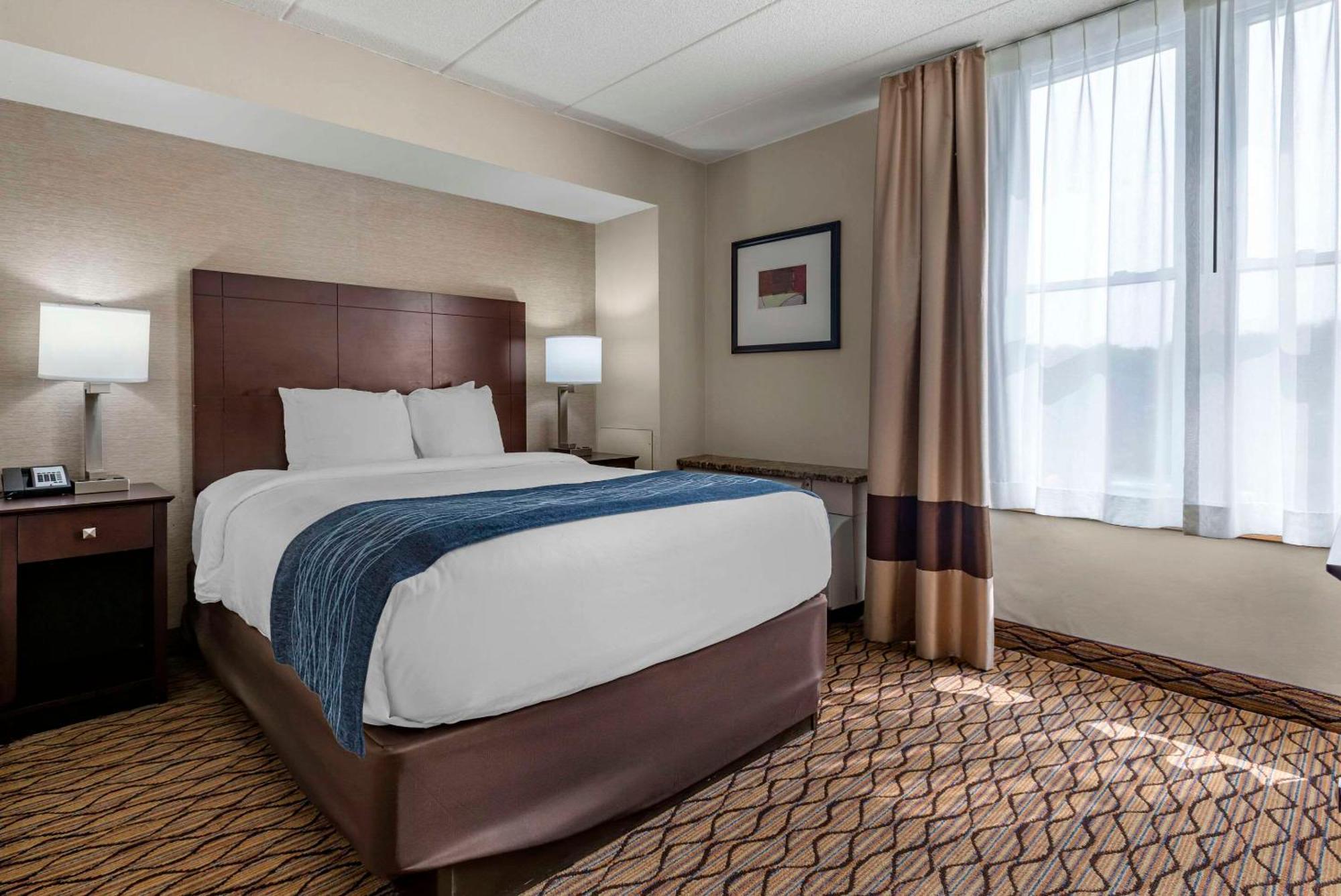Comfort Inn&Suites Glen Mills - Concordville Eksteriør billede