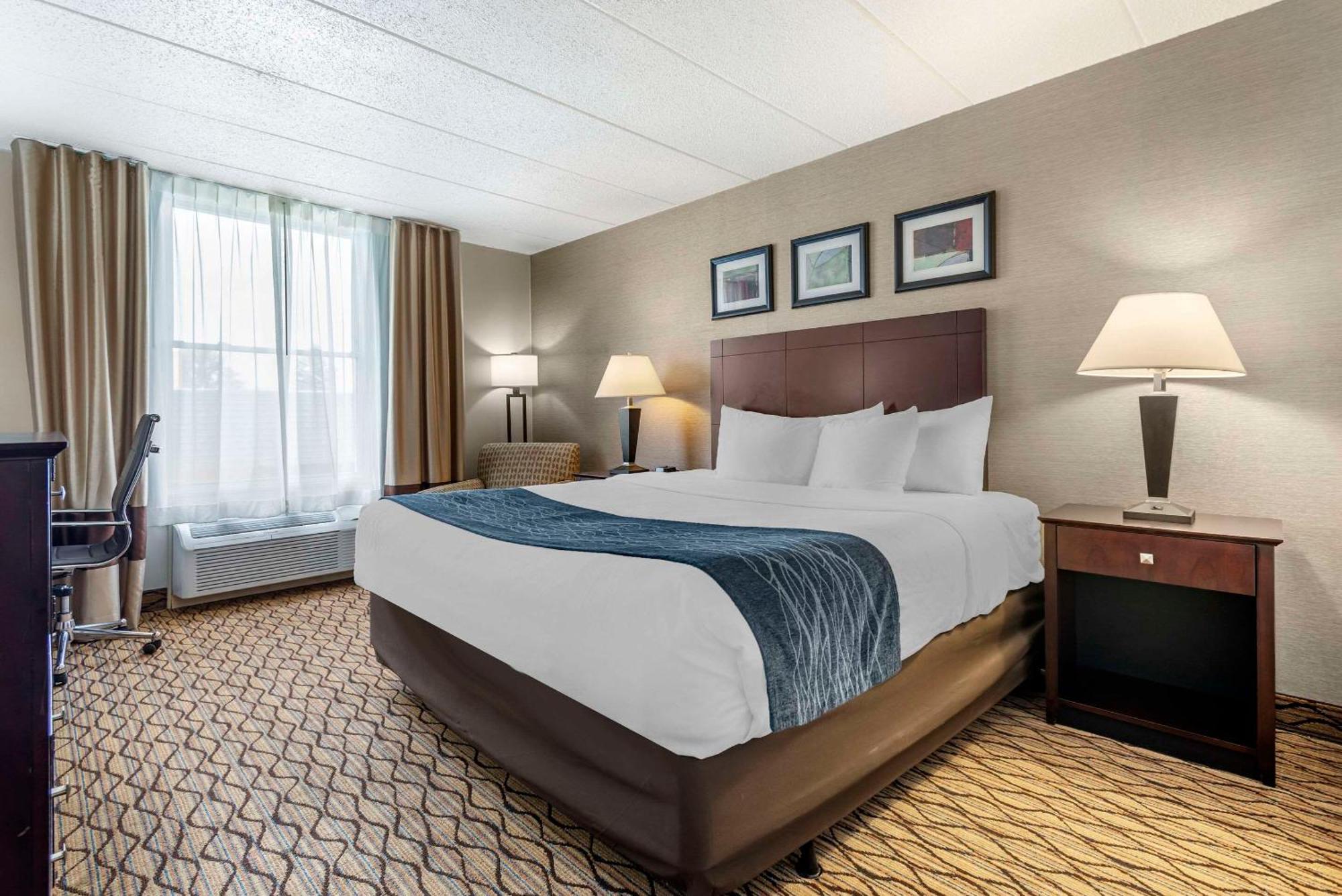 Comfort Inn&Suites Glen Mills - Concordville Eksteriør billede