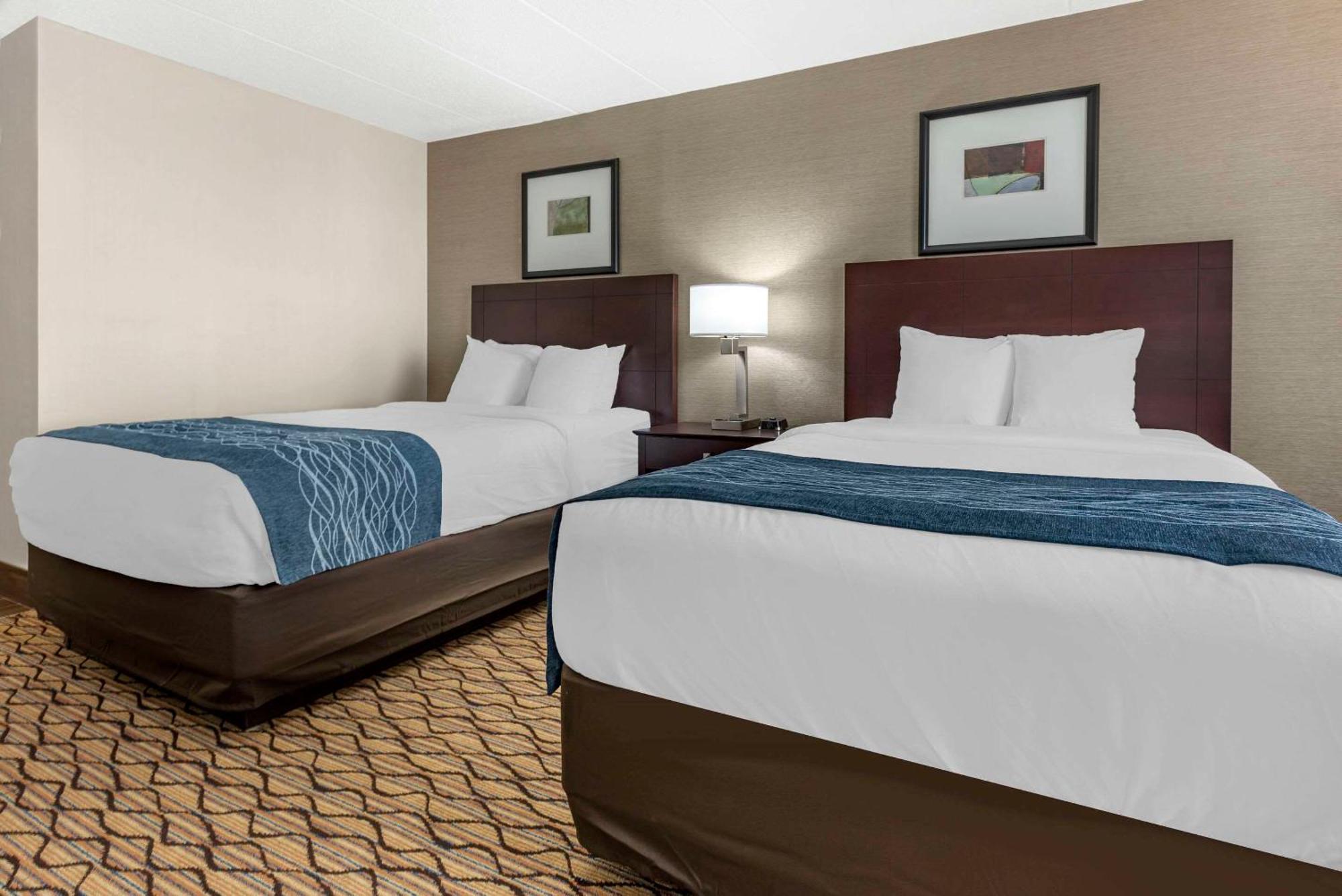 Comfort Inn&Suites Glen Mills - Concordville Eksteriør billede